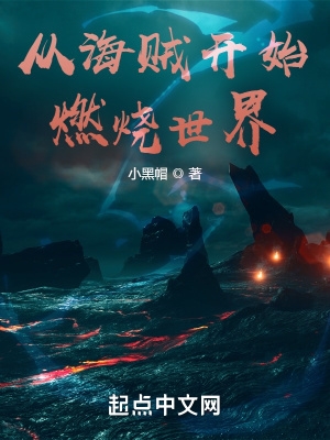 从海贼开始燃烧世界电子书下载